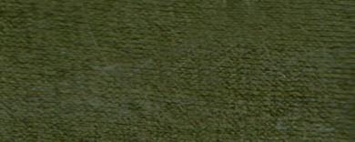 Feinstrumpfhose 40/42 | oliv