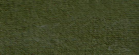 Feinstrumpfhose 40/42 | oliv